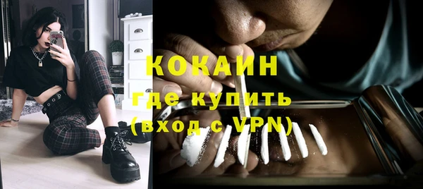 МДПВ Каменногорск