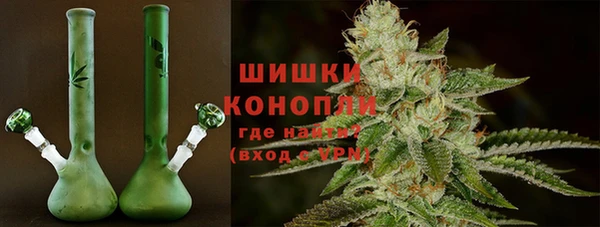 молекула духа Каменск-Шахтинский