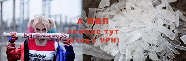 молекула духа Каменск-Шахтинский