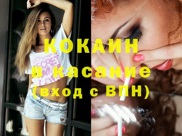 винт Каменка