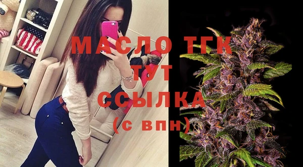 винт Каменка