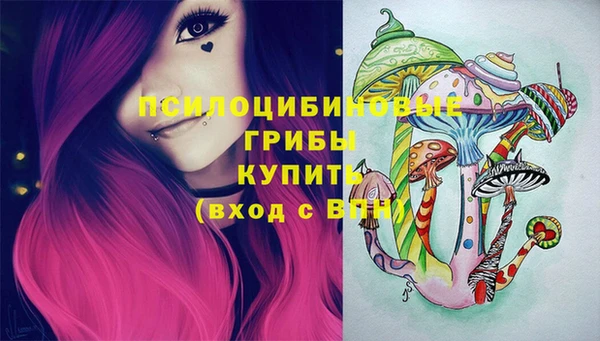 винт Каменка