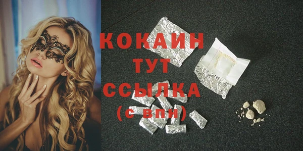МДПВ Каменногорск