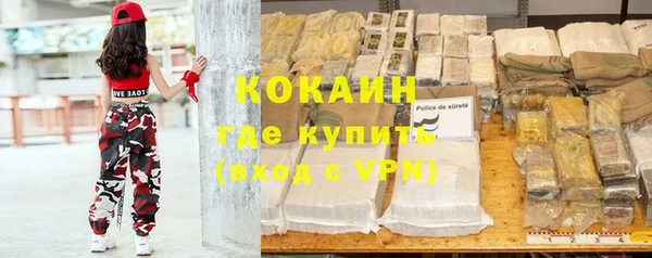 винт Каменка