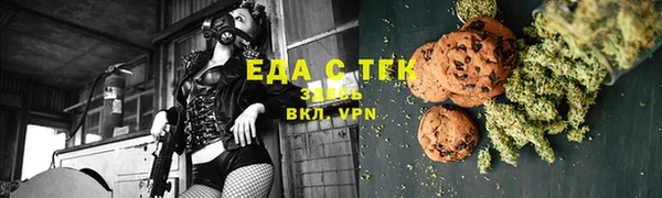МДПВ Каменногорск