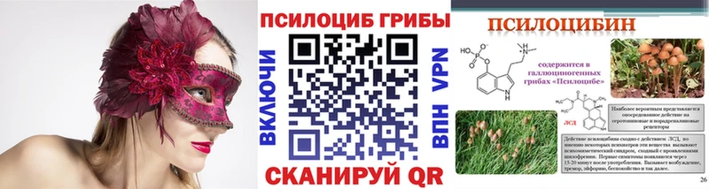 Купить где  Малоярославец  Галлюциногенные грибы GOLDEN TEACHER 